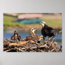 Suche nach ei kunst Nest