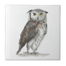 Suche nach schöne eule fliesen Vogel