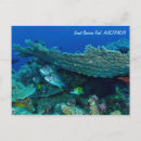 Suche nach tropische fische postkarten Riff