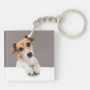 Suche nach jack russell schlüsselanhänger Süß