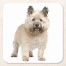 Suche nach cairn terrier untersetzer Für alle