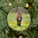 Suche nach pferde ornamente Weihnachten