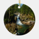 Suche nach parks ornamente Mount rainier national park
