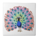 Suche nach peacock fliesen Farbig
