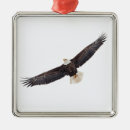 Suche nach symbolisch ornamente Natur