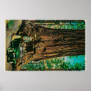 Suche nach mariposa poster Baum