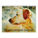 Suche nach goldener kalender Hundekalender