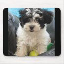 Suche nach havanese mousepads Hunde
