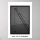 Suche nach fins poster Black
