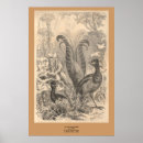 Suche nach lyre poster Alt