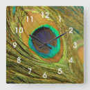Suche nach peacock alle wanduhren Feather