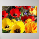 Suche nach tulpen poster Jede person