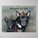 Suche nach schwarze chihuahua poster Foto