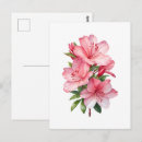 Suche nach aquarellmalerei postkarten Farbenfroh