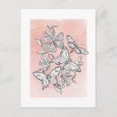 Suche nach rosa schmetterling postkarten Für sie