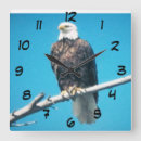 Suche nach eagle wanduhren Jede person