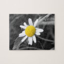Suche nach gänseblümchen puzzle Mit blumen