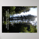 Suche nach redwood poster Rostrot