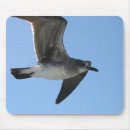 Suche nach möven mousepads Vogel