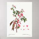 Suche nach rosa blüten poster Blume