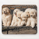 Suche nach golden retriever welpe mousepads Jede person