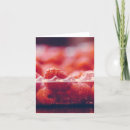 Suche nach rote himbeere karten Himbeeren