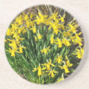 Suche nach narzisse untersetzer Gelb