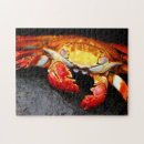 Suche nach krabbe puzzle Krebs