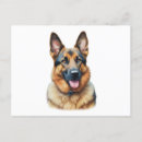 Suche nach german postkarten Hund