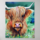 Suche nach kuh aquarell poster Hochlandkuh