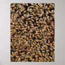 Suche nach honigbienen poster Jede person