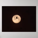 Suche nach vollmond poster Abend