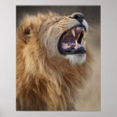 Suche nach panthera poster Afrika