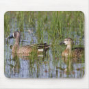 Suche nach weibchen mousepads Vogel