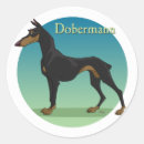 Suche nach dobermann aufkleber Pinscher