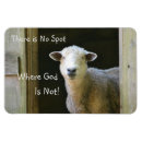 Suche nach gott magnete Erfreulich