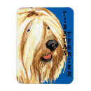 Suche nach tibetische magnete Hund