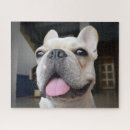 Suche nach french bulldog puzzle Junges tier