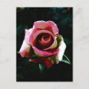 Suche nach dunkel postkarten Blumen