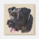 Suche nach schnauzer magnete Schwarzes