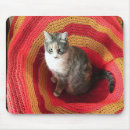 Suche nach afghanisch mousepads Katze