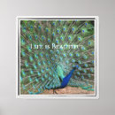 Suche nach feathers leinwandbilder Pfau