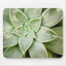 Suche nach pflanzen sie blatt elektronik zubehör Blume