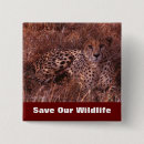 Suche nach gepard buttons Katze