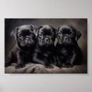Suche nach mops welpen poster Schwarz