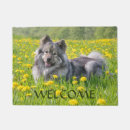 Suche nach eurasier hund Niedlich