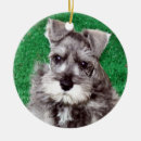 Suche nach zwergschnauzer ornamente Hund