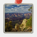 Suche nach geologie ornamente Südkranz