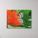 Suche nach mexikanische leinwandbilder Blume