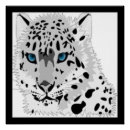 Suche nach schnee leopard poster Blau